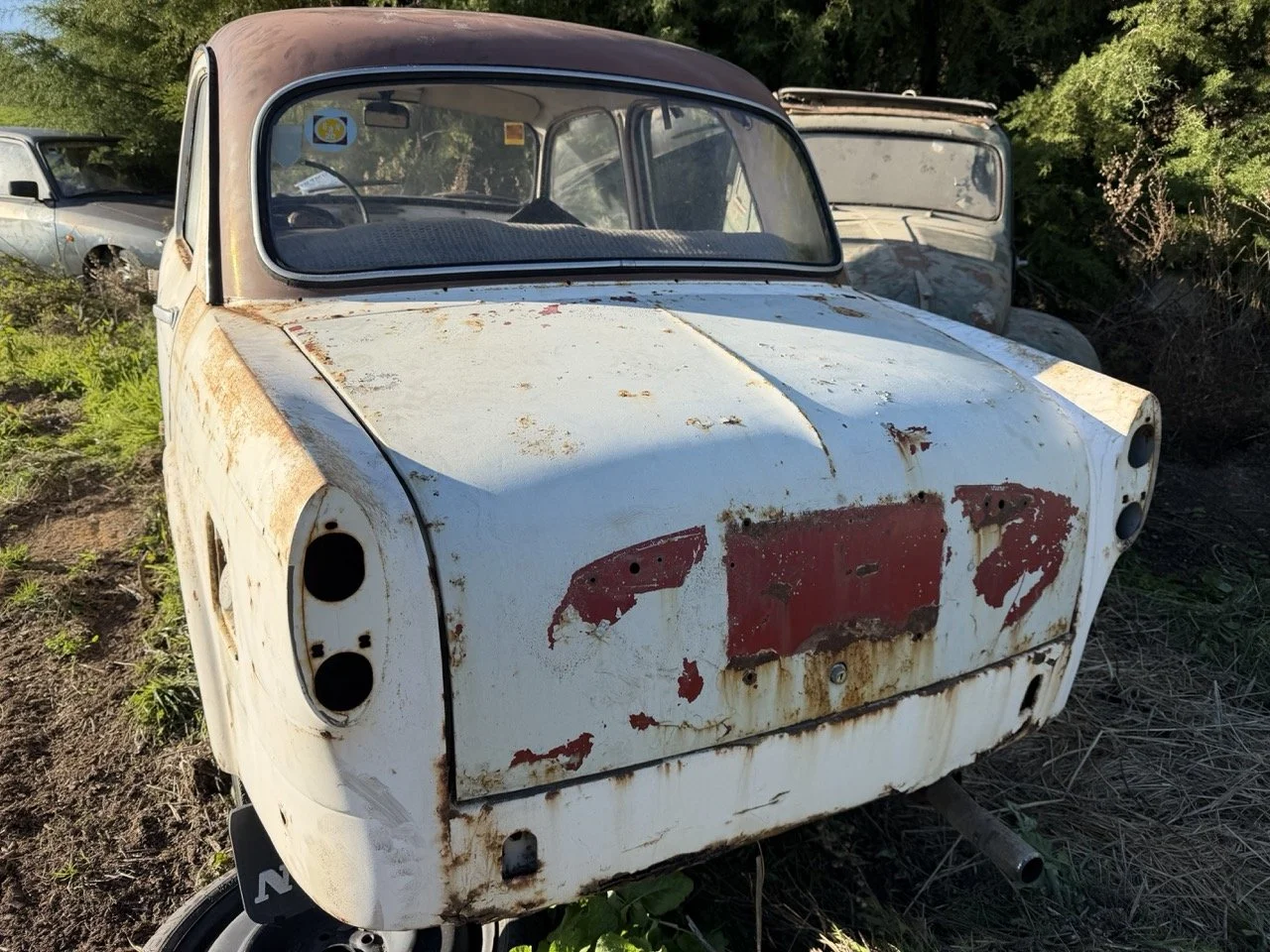 IMG_2512 – grande.jpeg