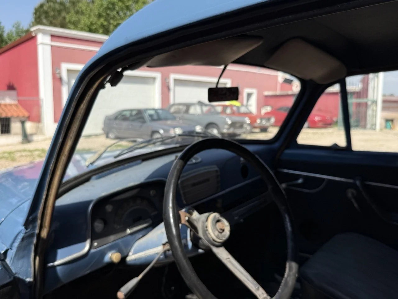 IMG_3554 – grande.jpeg