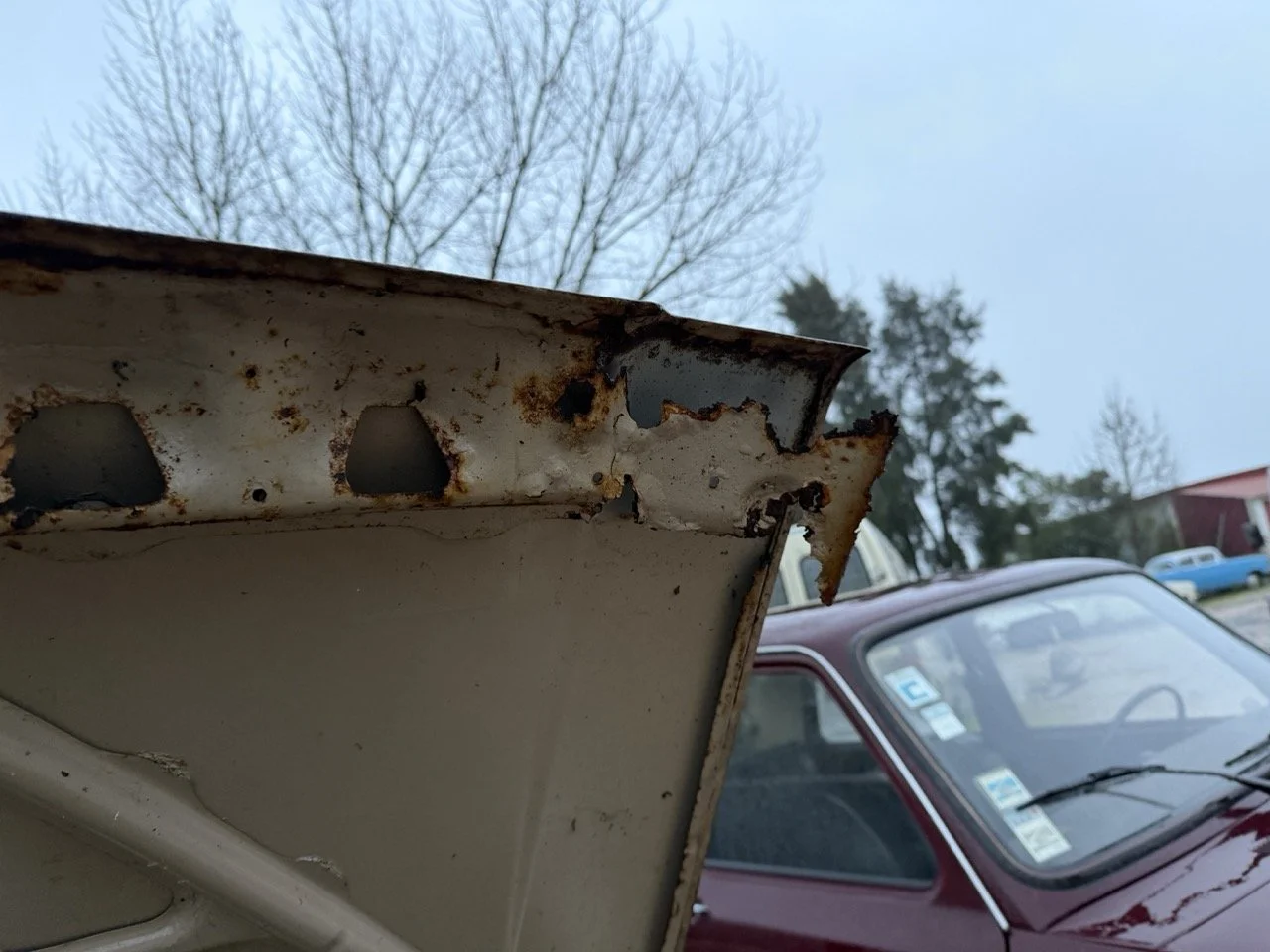 IMG_0252 – grande.jpeg