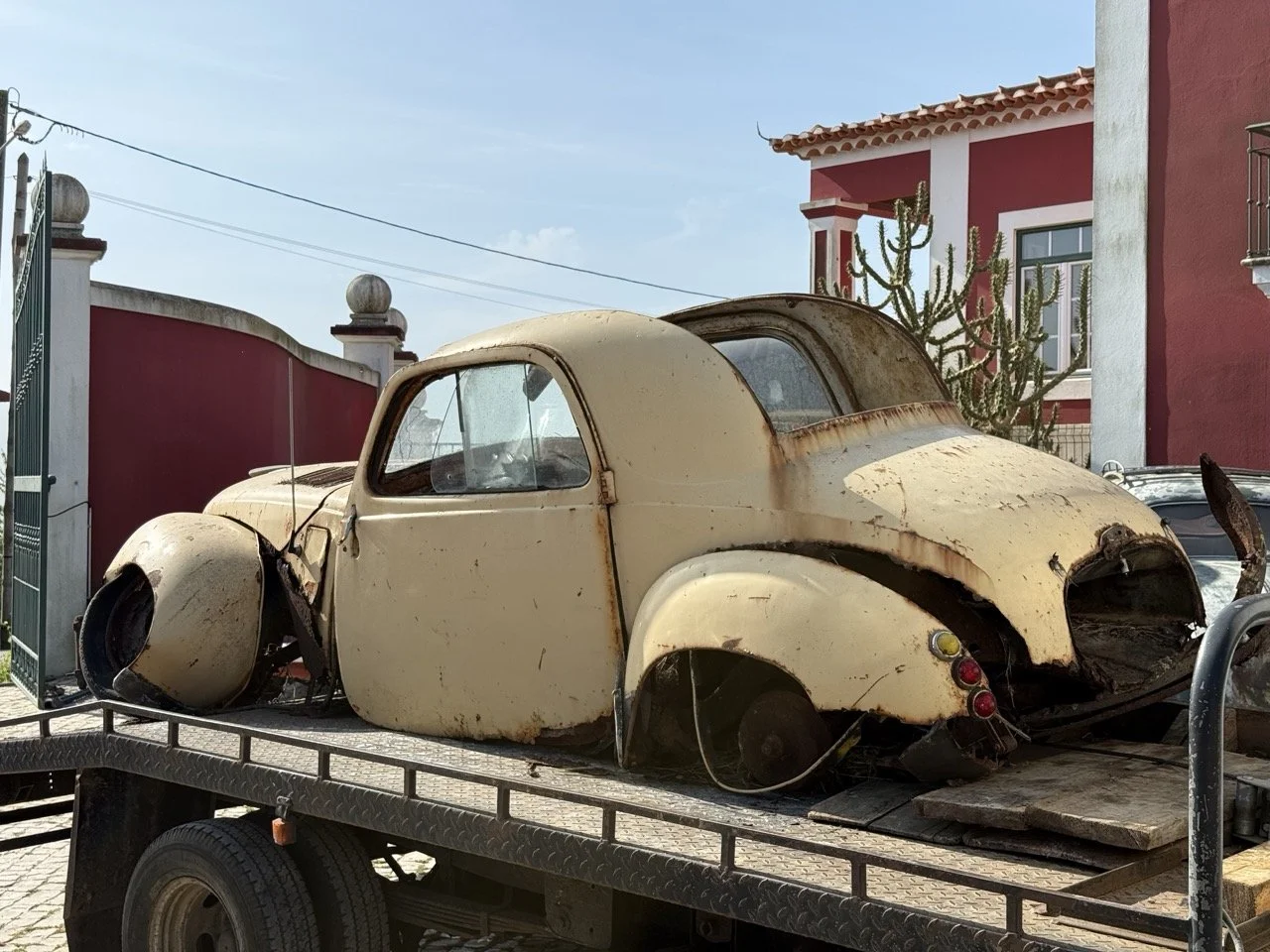 IMG_3159 – grande.jpeg