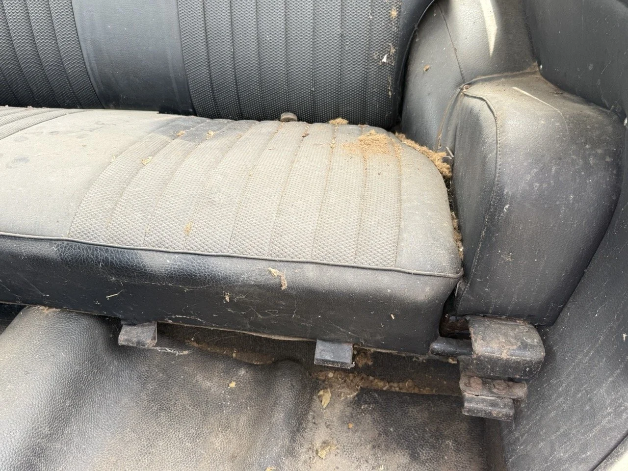 IMG_1393 – grande.jpeg