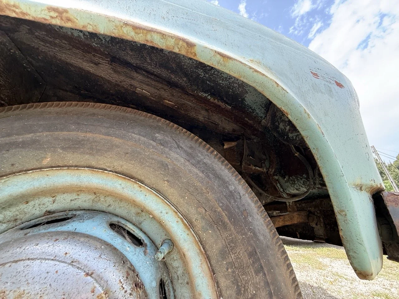 IMG_1410 – grande.jpeg