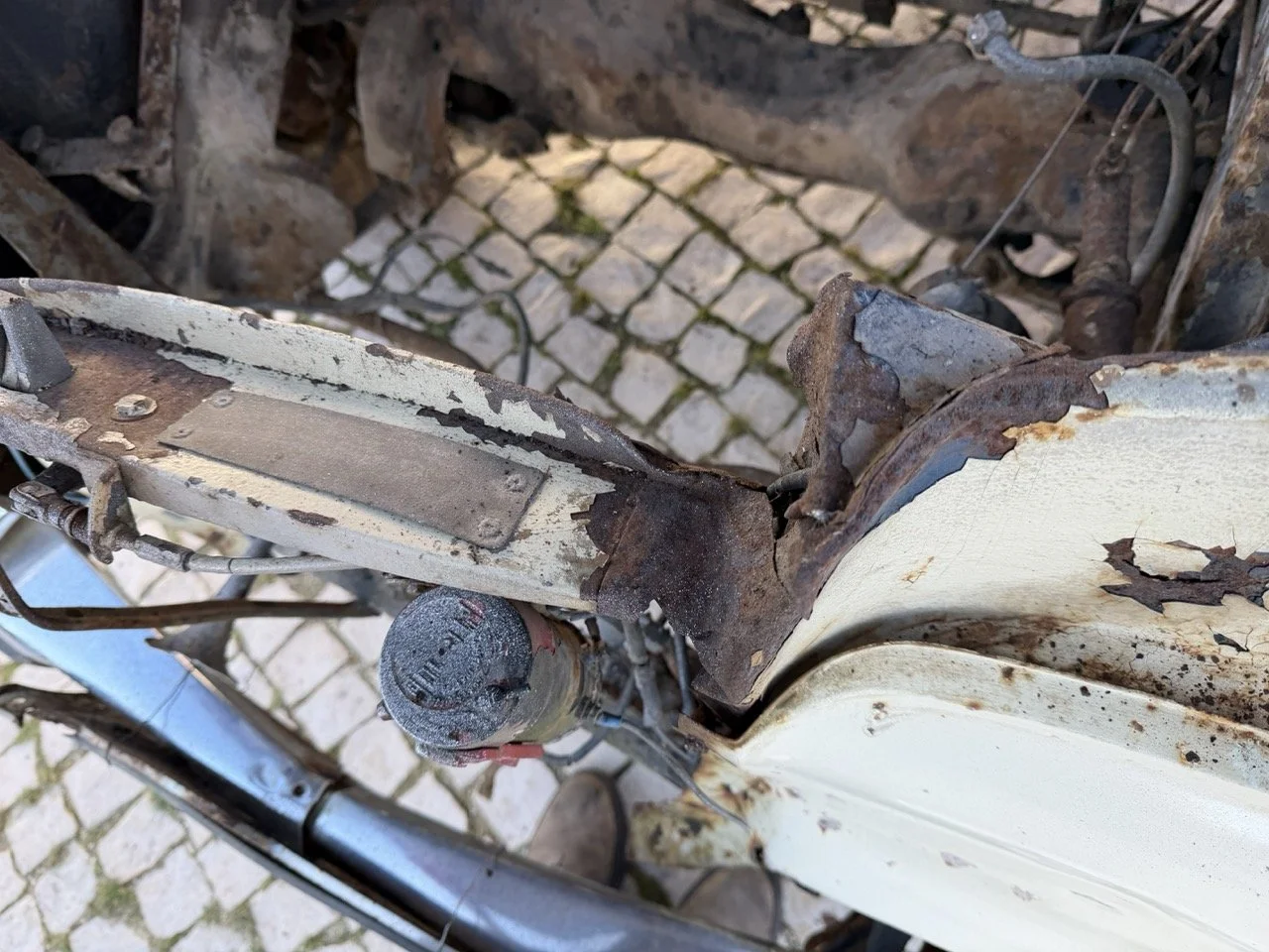 IMG_7098 – grande.jpeg