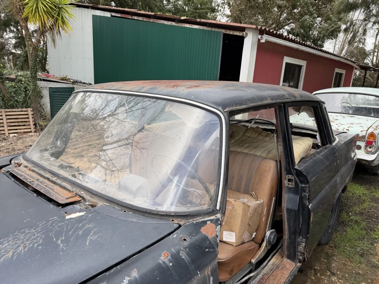 IMG_1936 – grande.jpeg