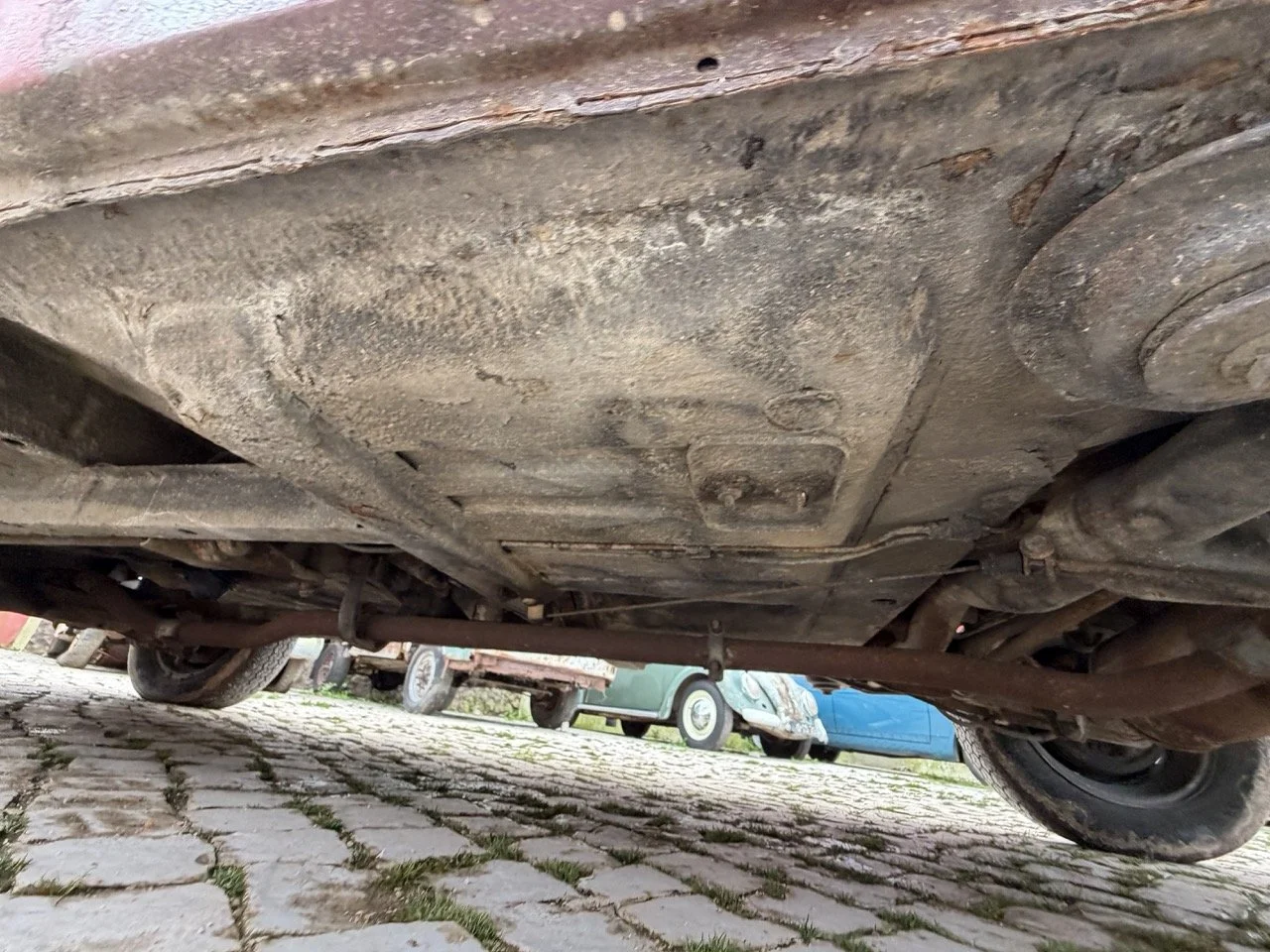 IMG_4952 – grande.jpeg