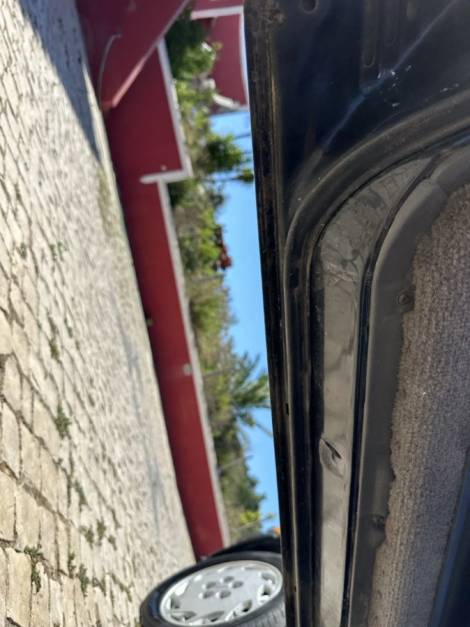 IMG_3099 – grande.jpeg