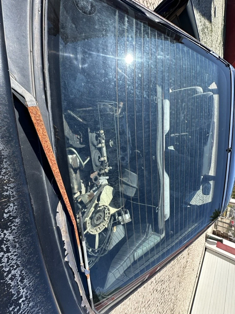 IMG_3092 – grande.jpeg