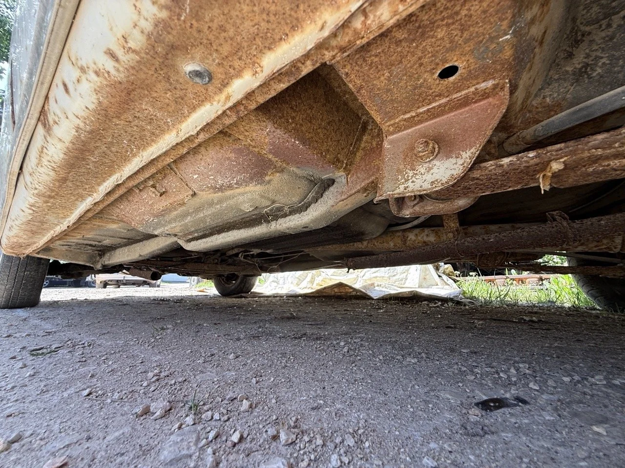 IMG_3236 – grande.jpeg