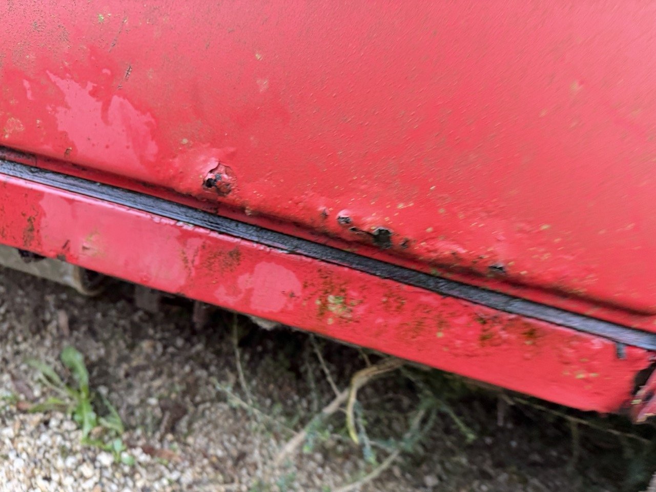 IMG_5510 – grande.jpeg