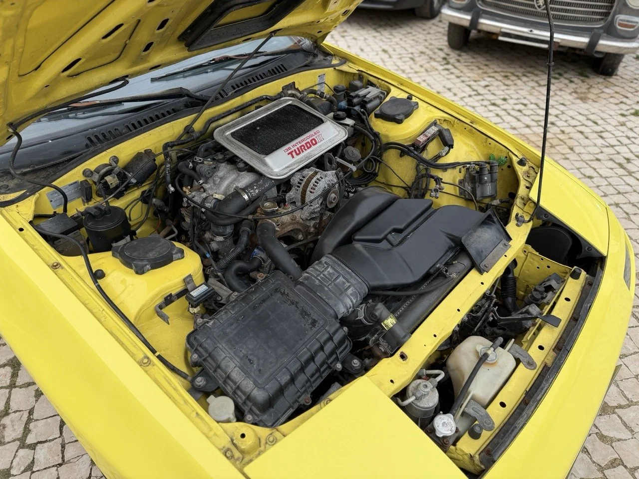 IMG_9744 – grande.jpeg