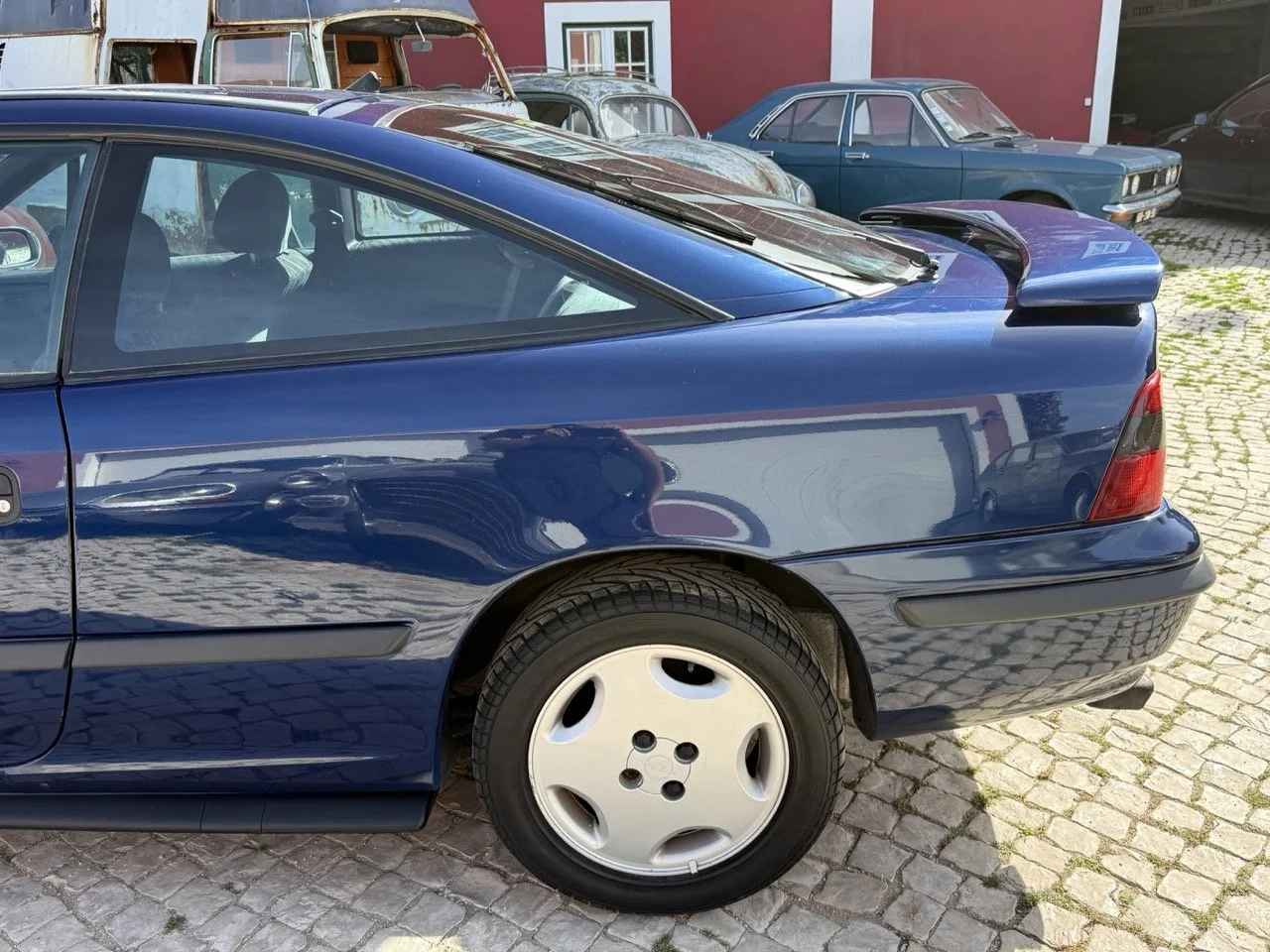 IMG_2478 – grande.jpeg