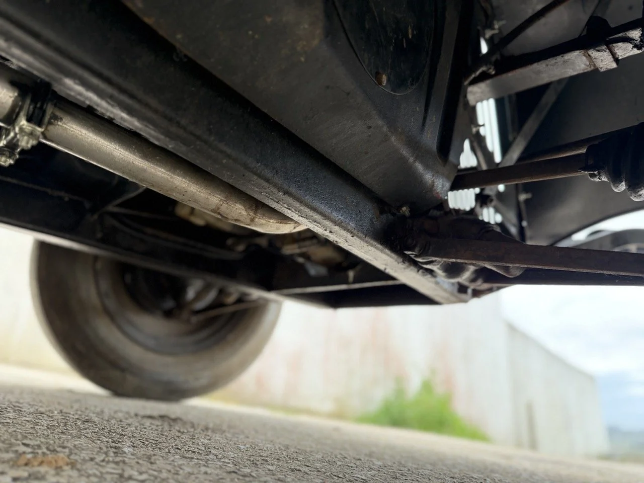 IMG_1480 – grande.jpeg