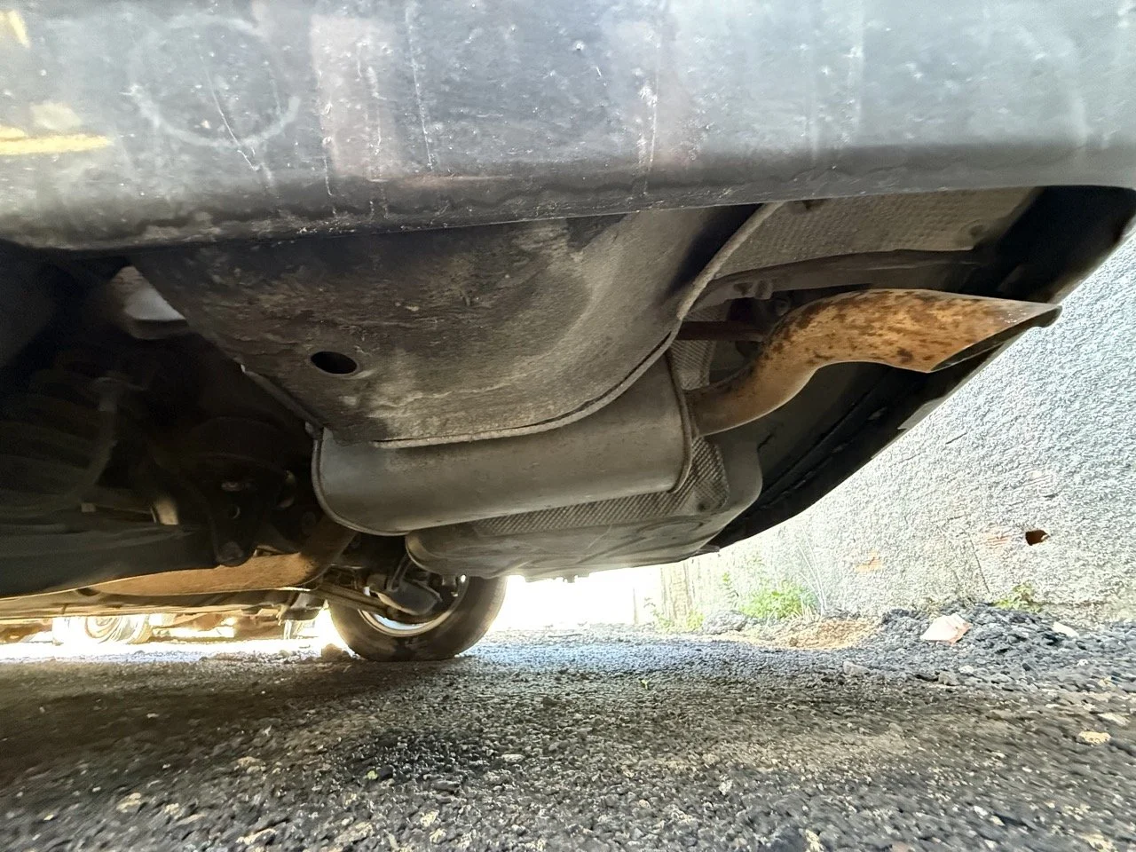 IMG_1801 – grande.jpeg