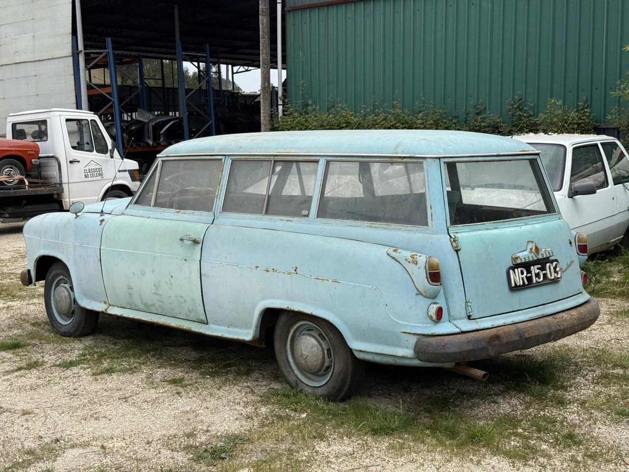 IMG_1350 – grande.jpeg