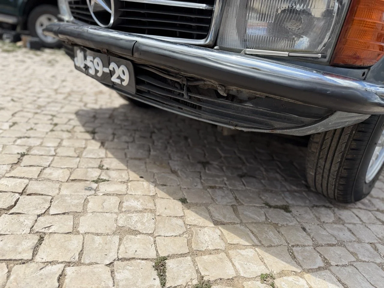 IMG_5819 – grande.jpeg