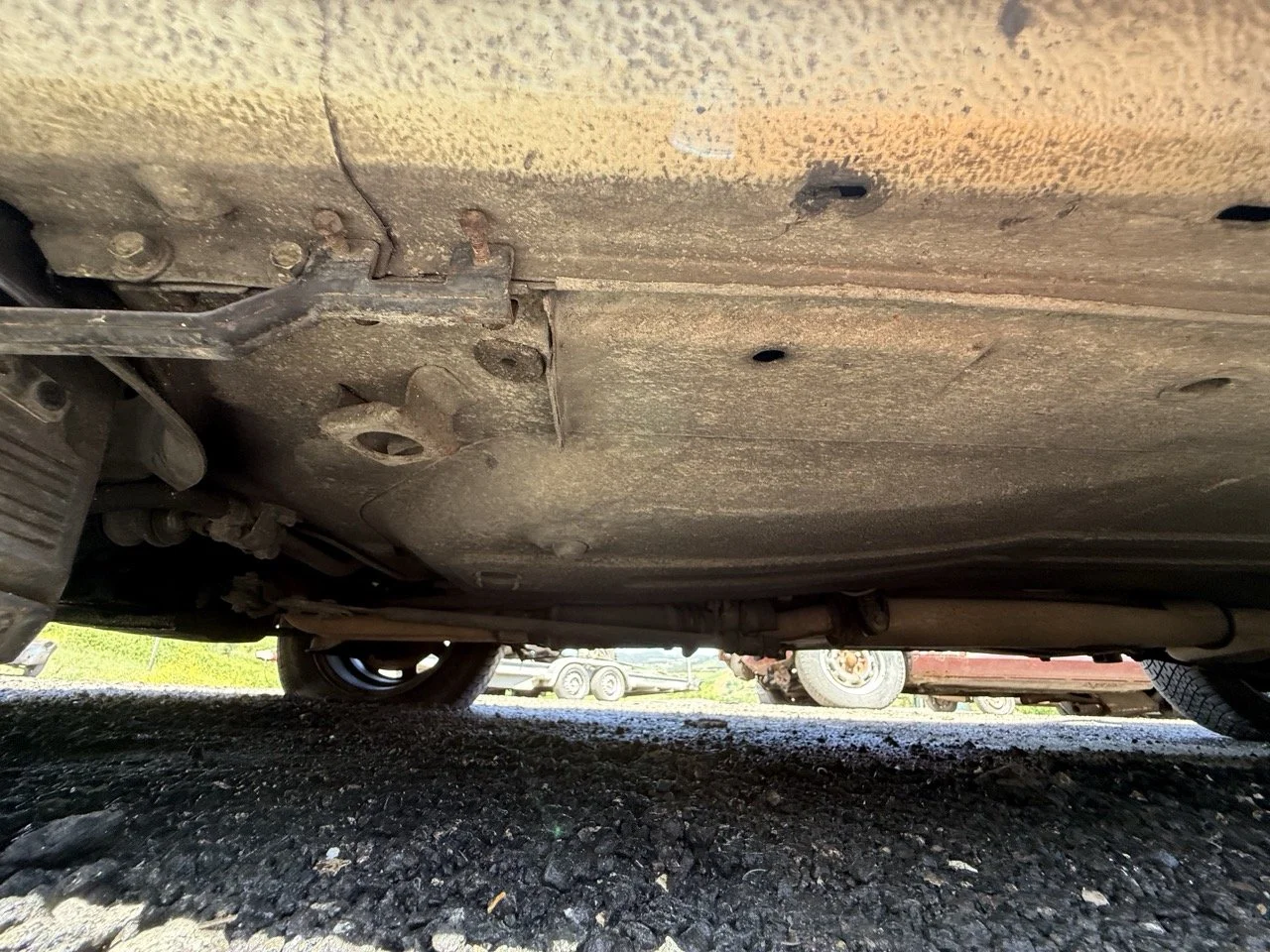 IMG_1950 – grande.jpeg