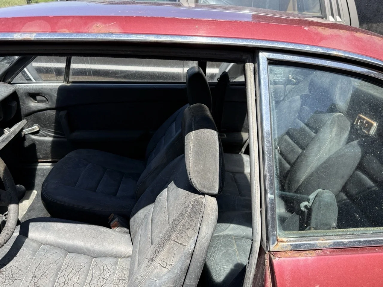 IMG_0933 – grande.jpeg