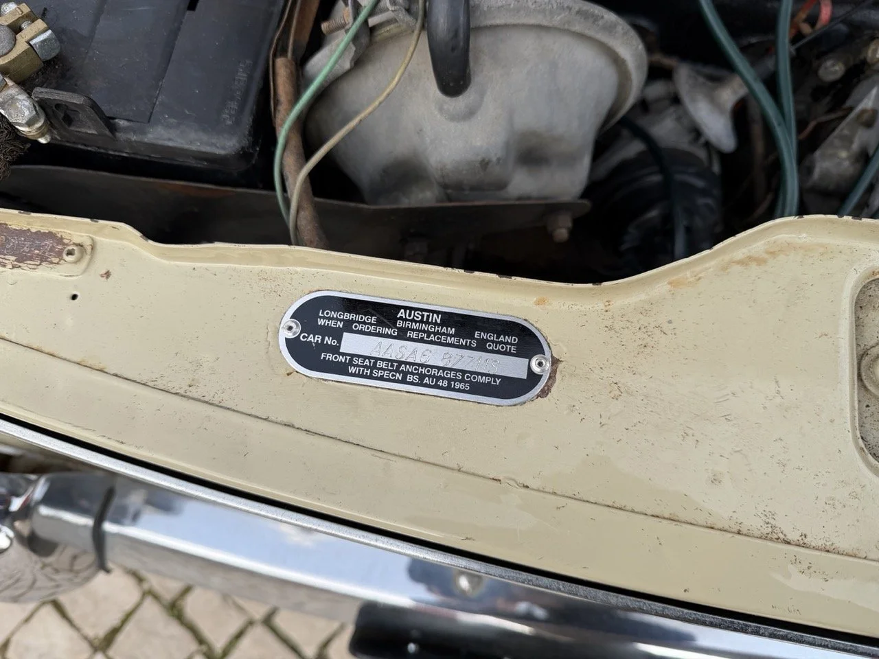 IMG_4073 – grande.jpeg