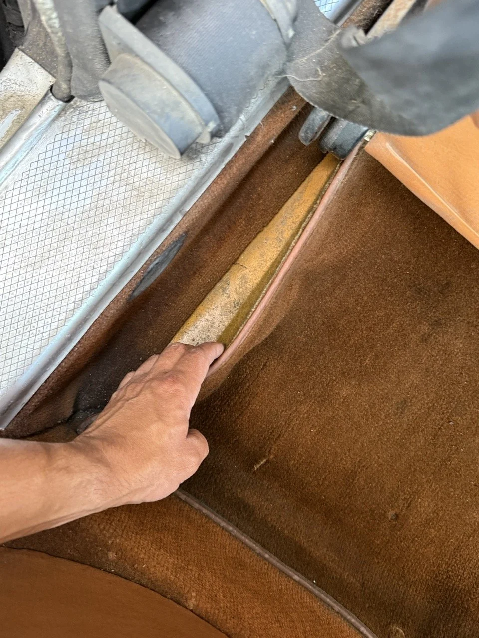 IMG_0588 – grande.jpeg