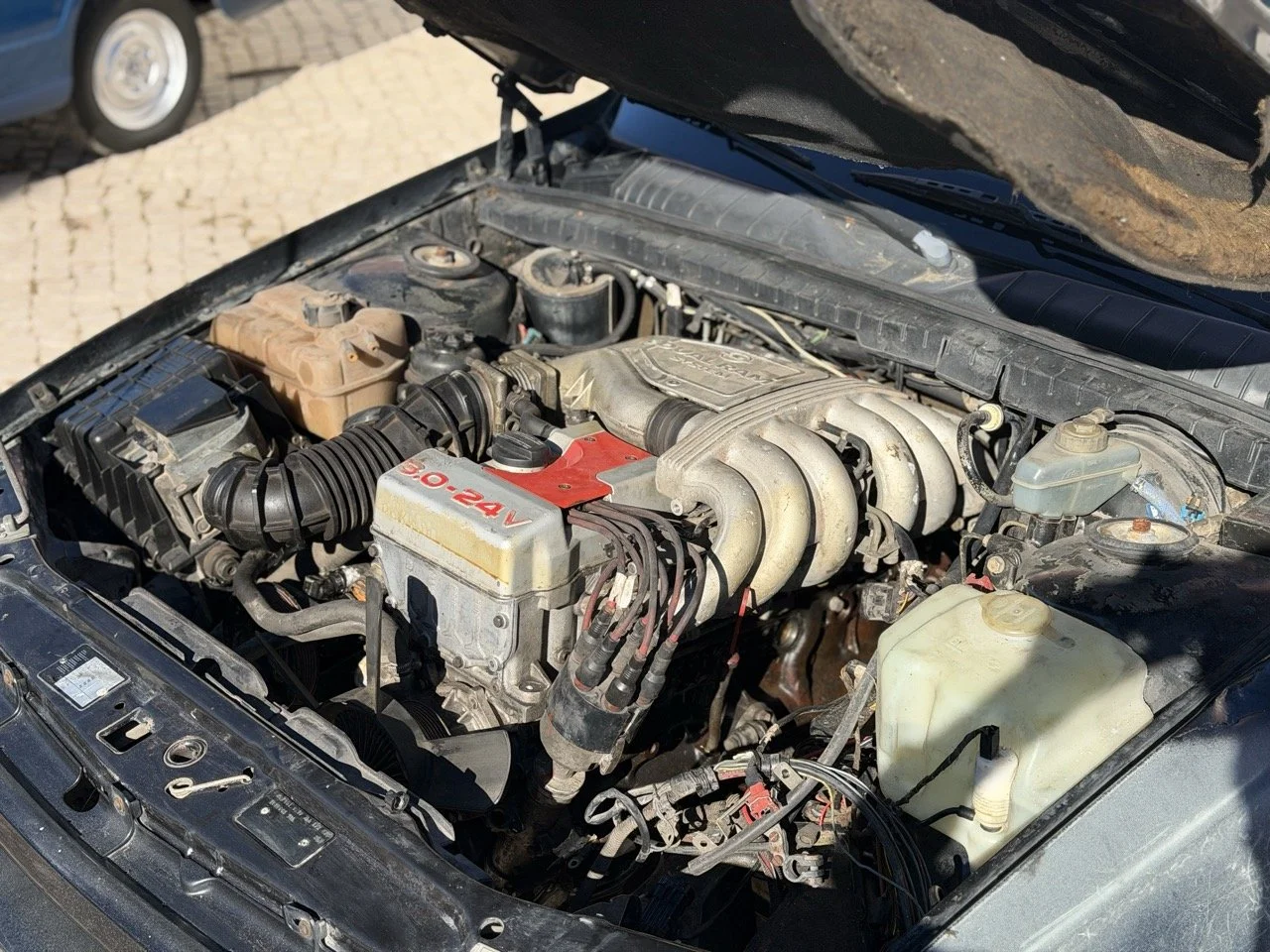 IMG_2749 – grande.jpeg