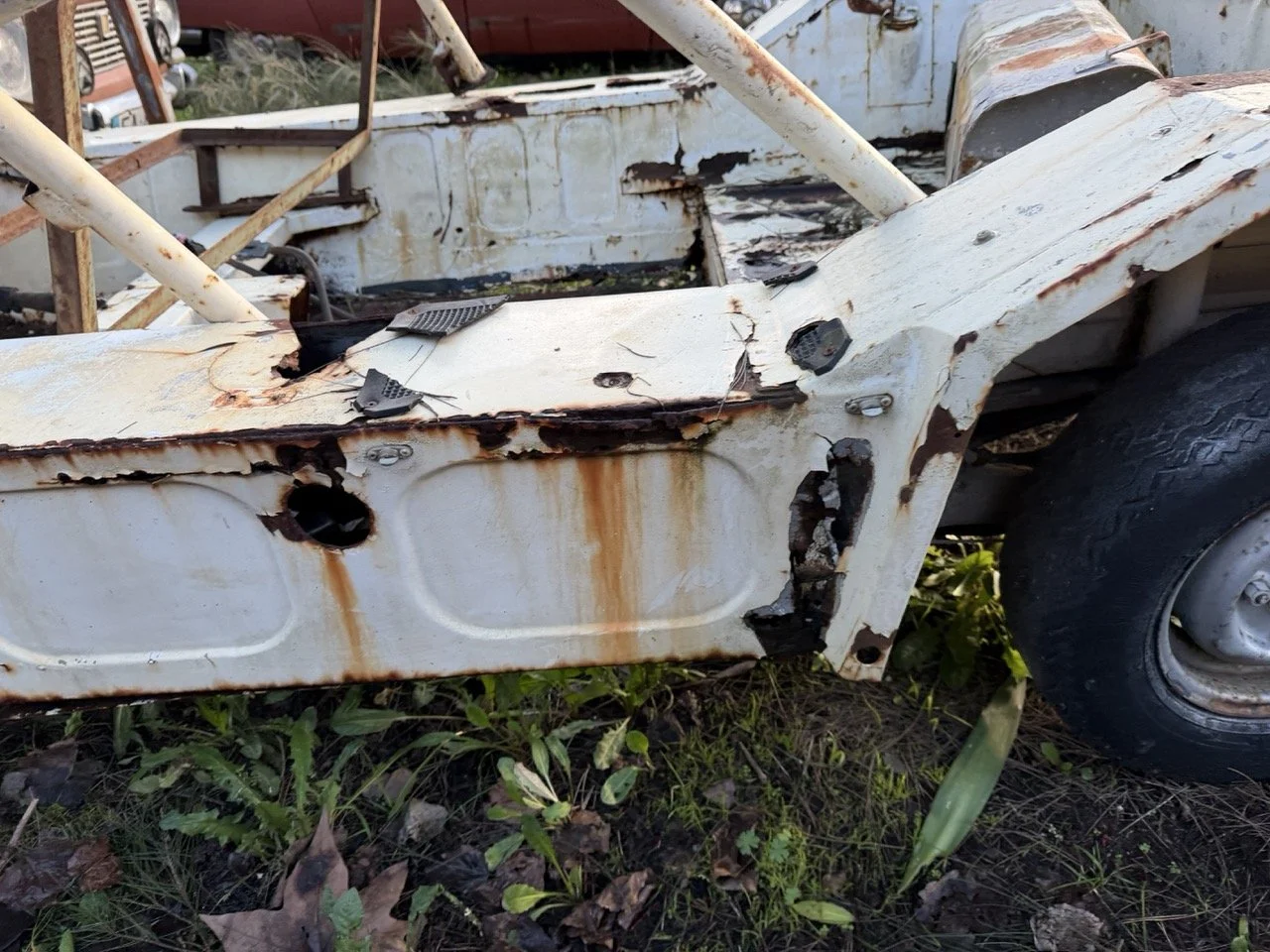 IMG_0890 – grande.jpeg