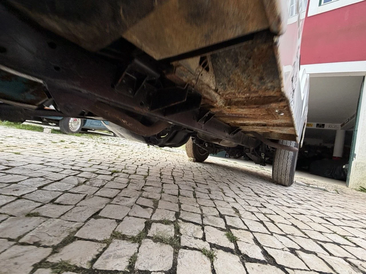 IMG_3937 – grande.jpeg