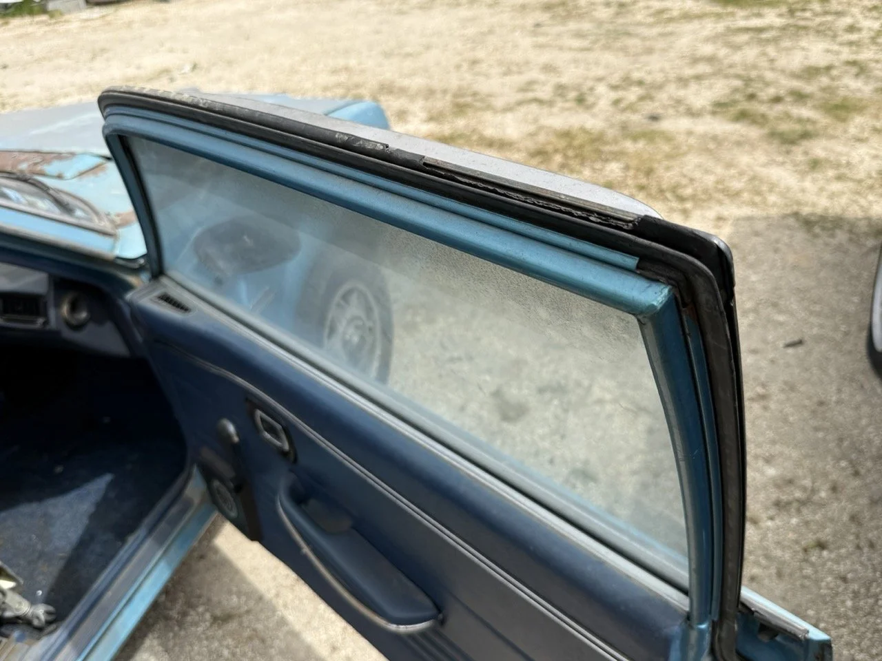 IMG_1547 – grande.jpeg