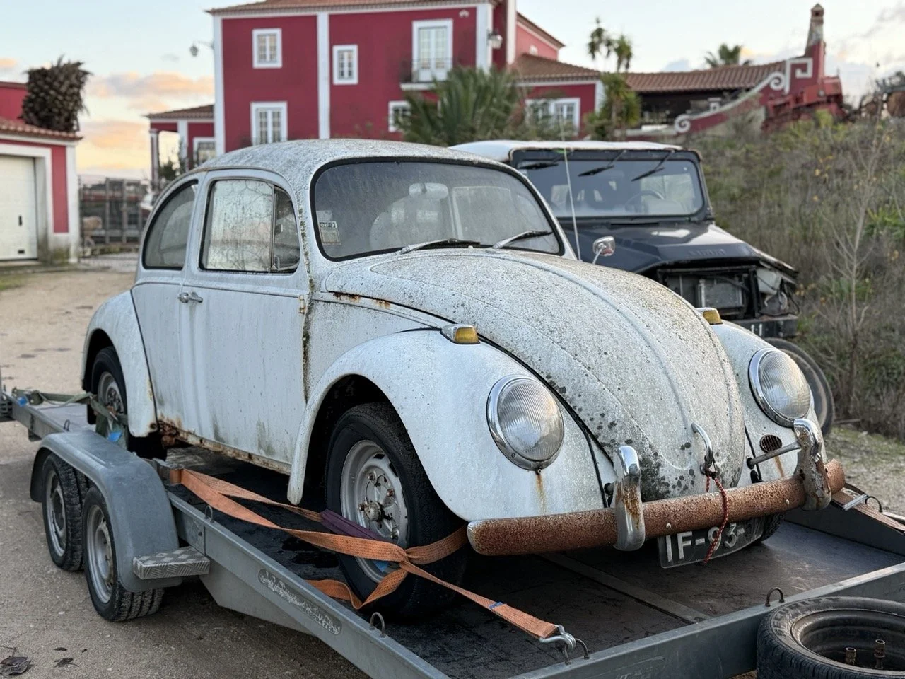 IMG_8590 – grande.jpeg