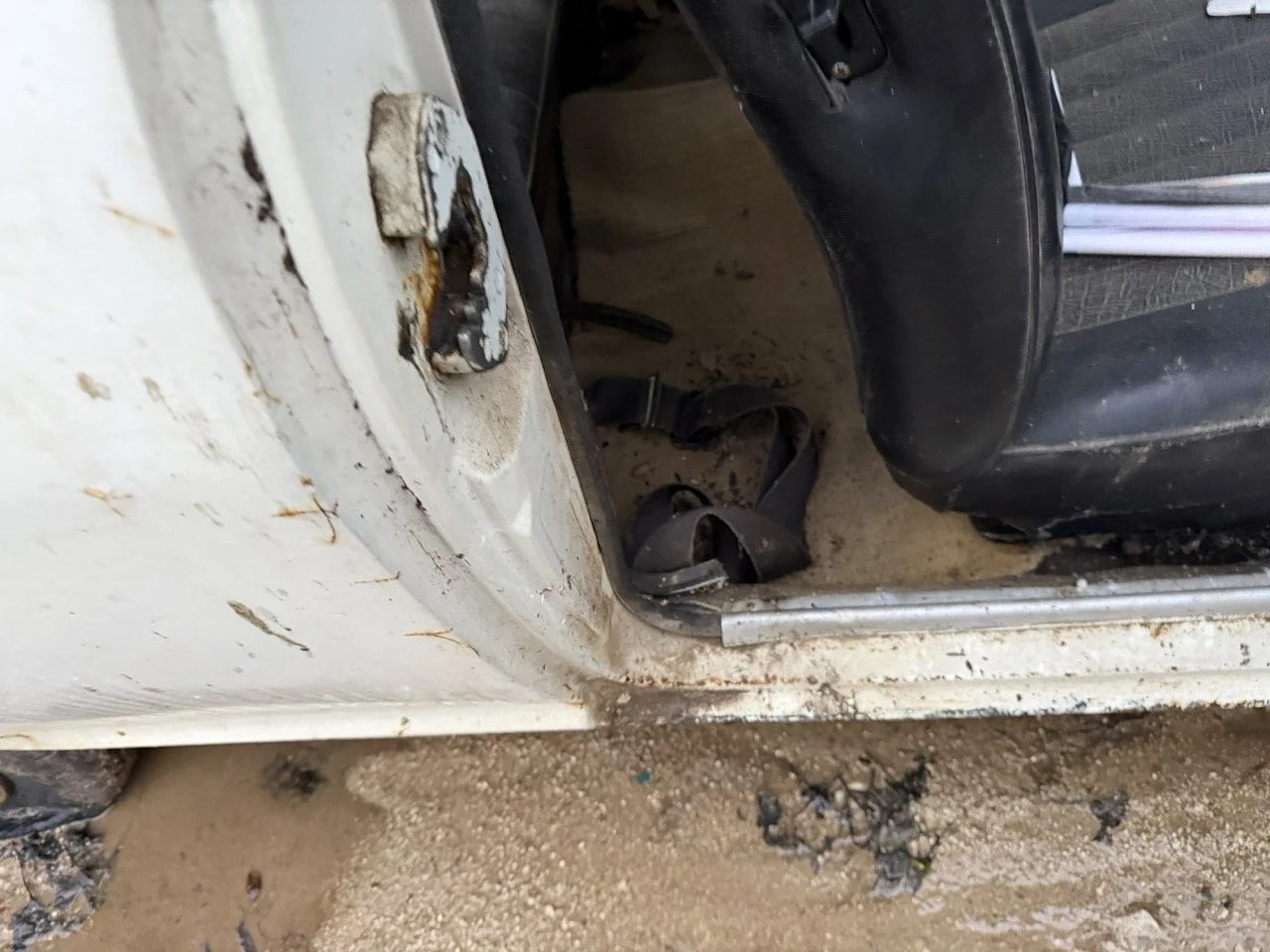 IMG_0145 – grande.jpeg