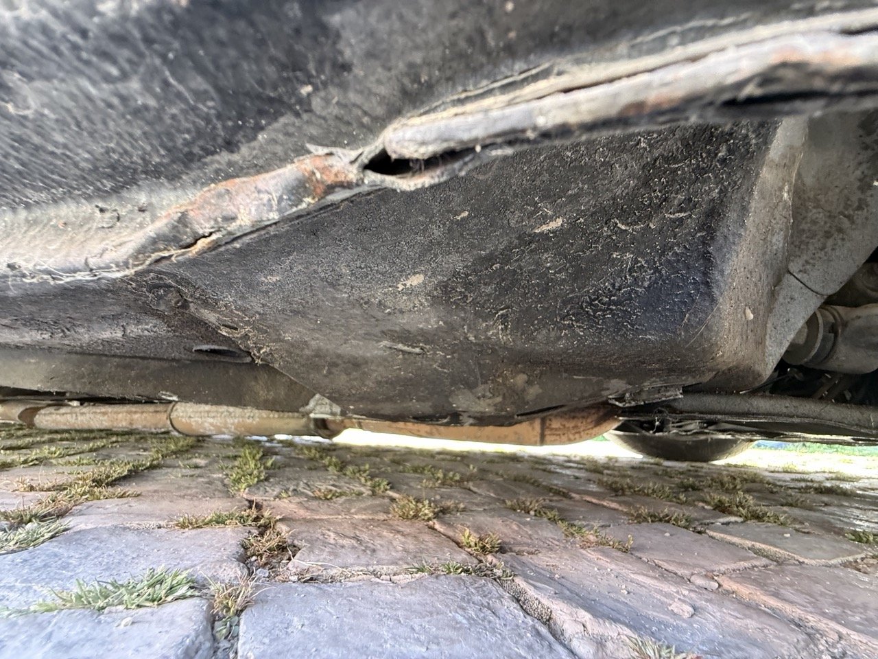 IMG_2634 – grande.jpeg