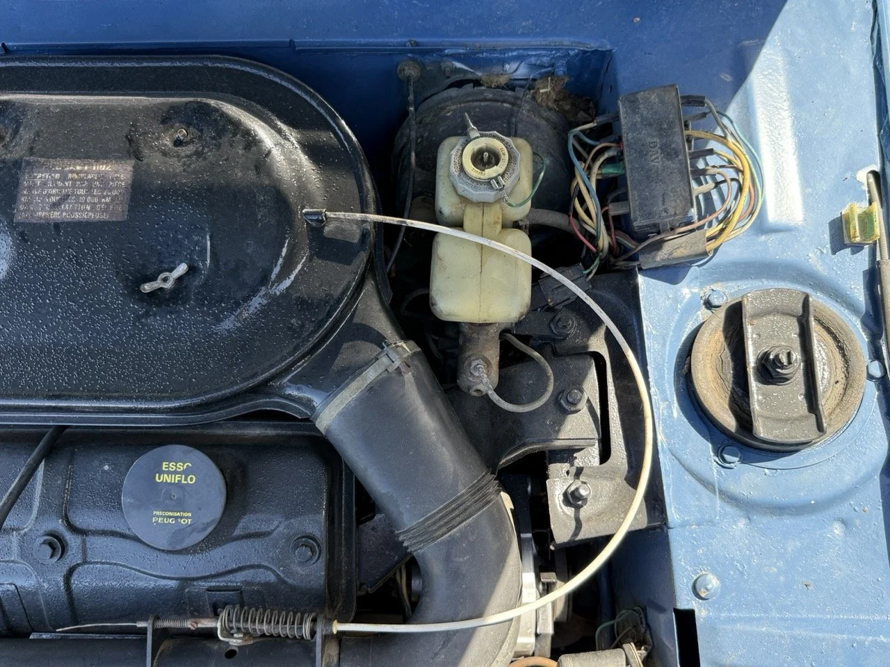 IMG_0794 – grande.jpeg