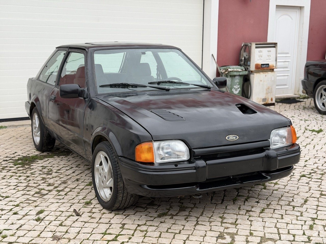 IMG_1251 – grande.jpeg