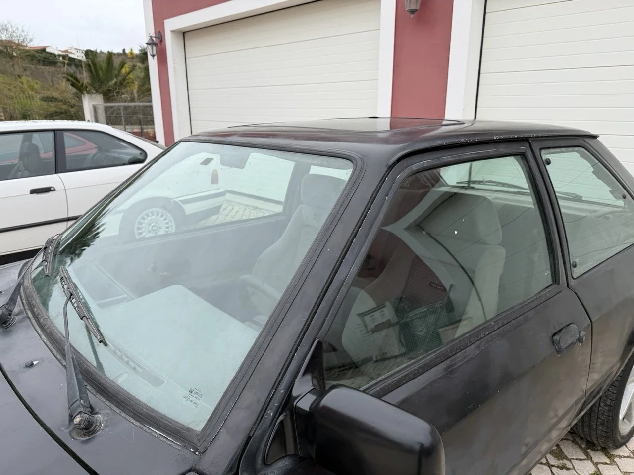 IMG_1293 – grande.jpeg