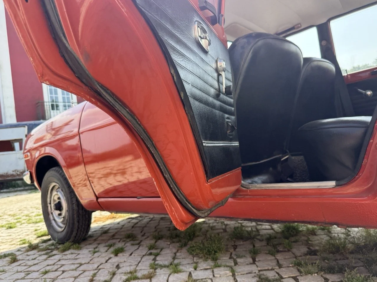 IMG_3646 – grande.jpeg