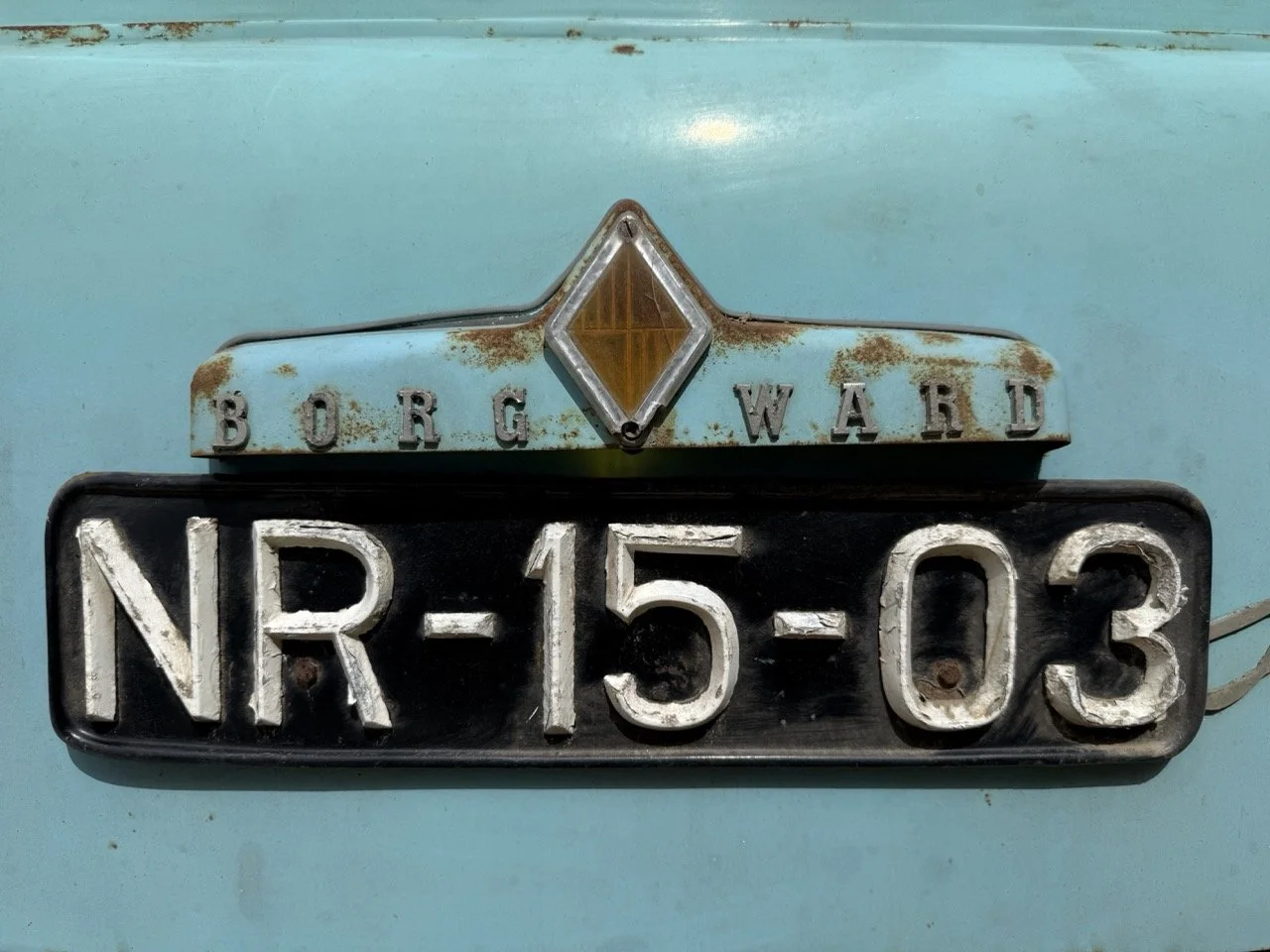 IMG_1373 – grande.jpeg