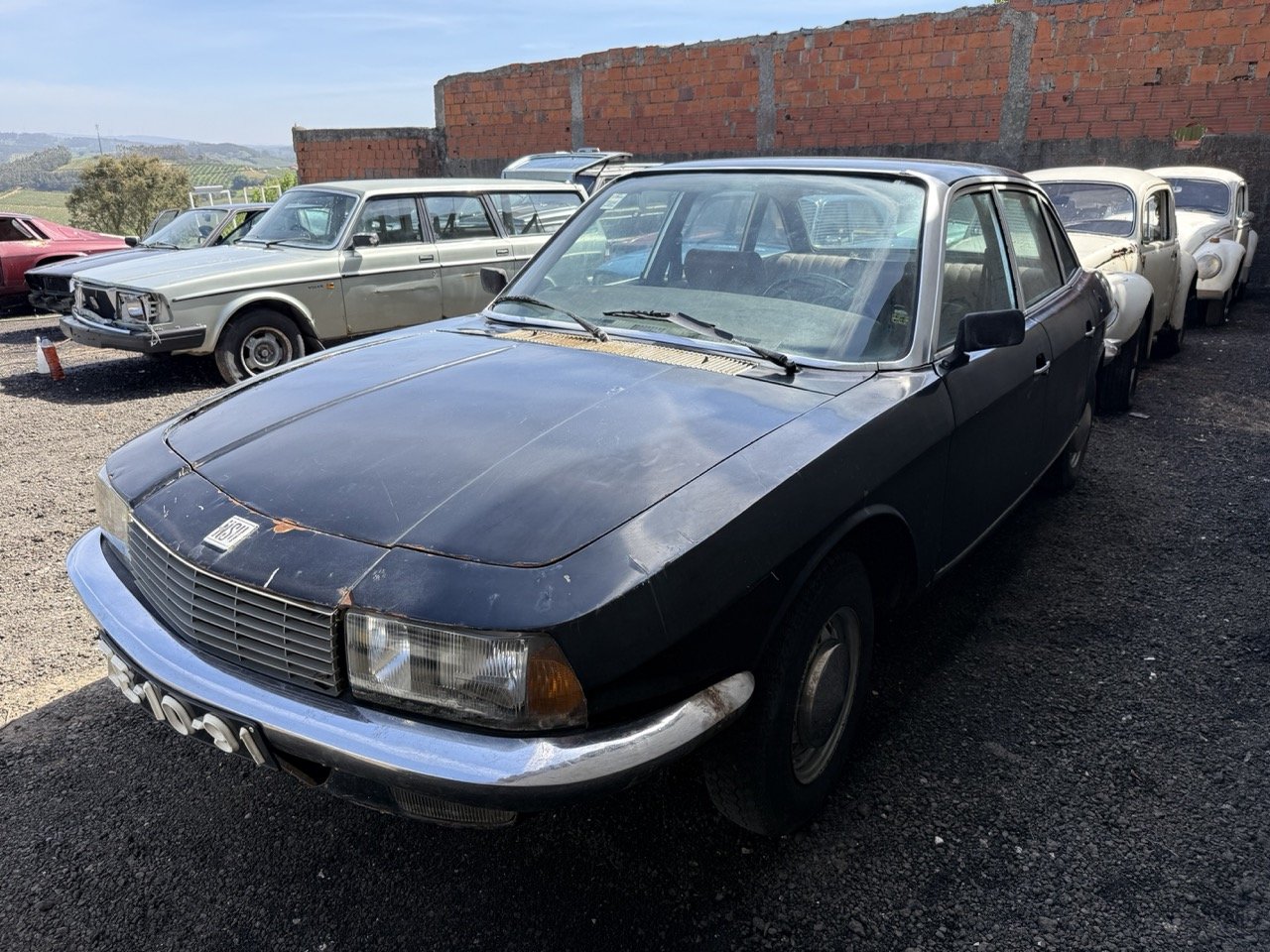 IMG_0557 – grande.jpeg