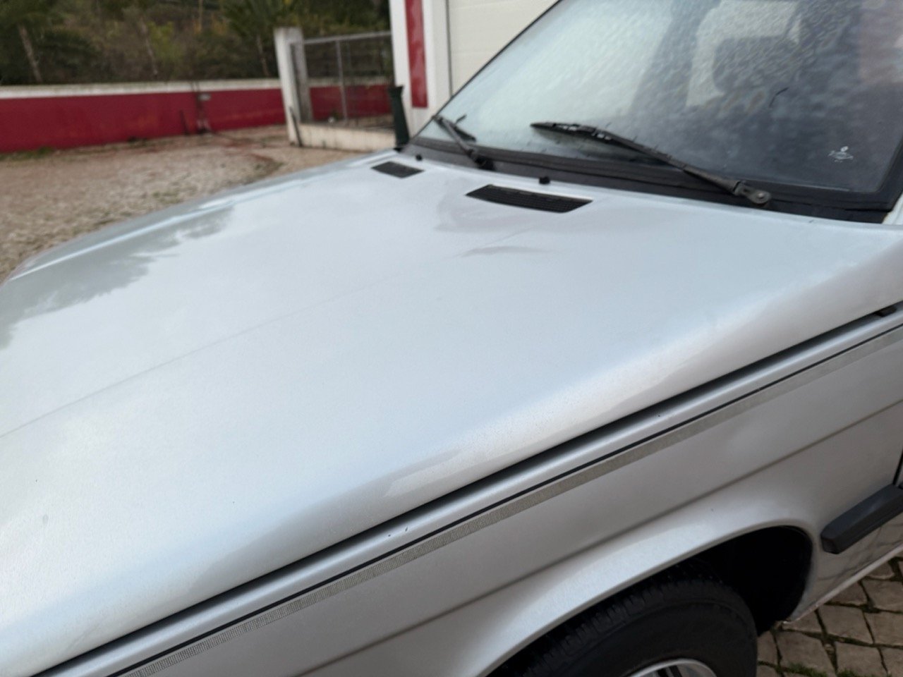 IMG_4749 3 – grande.jpeg