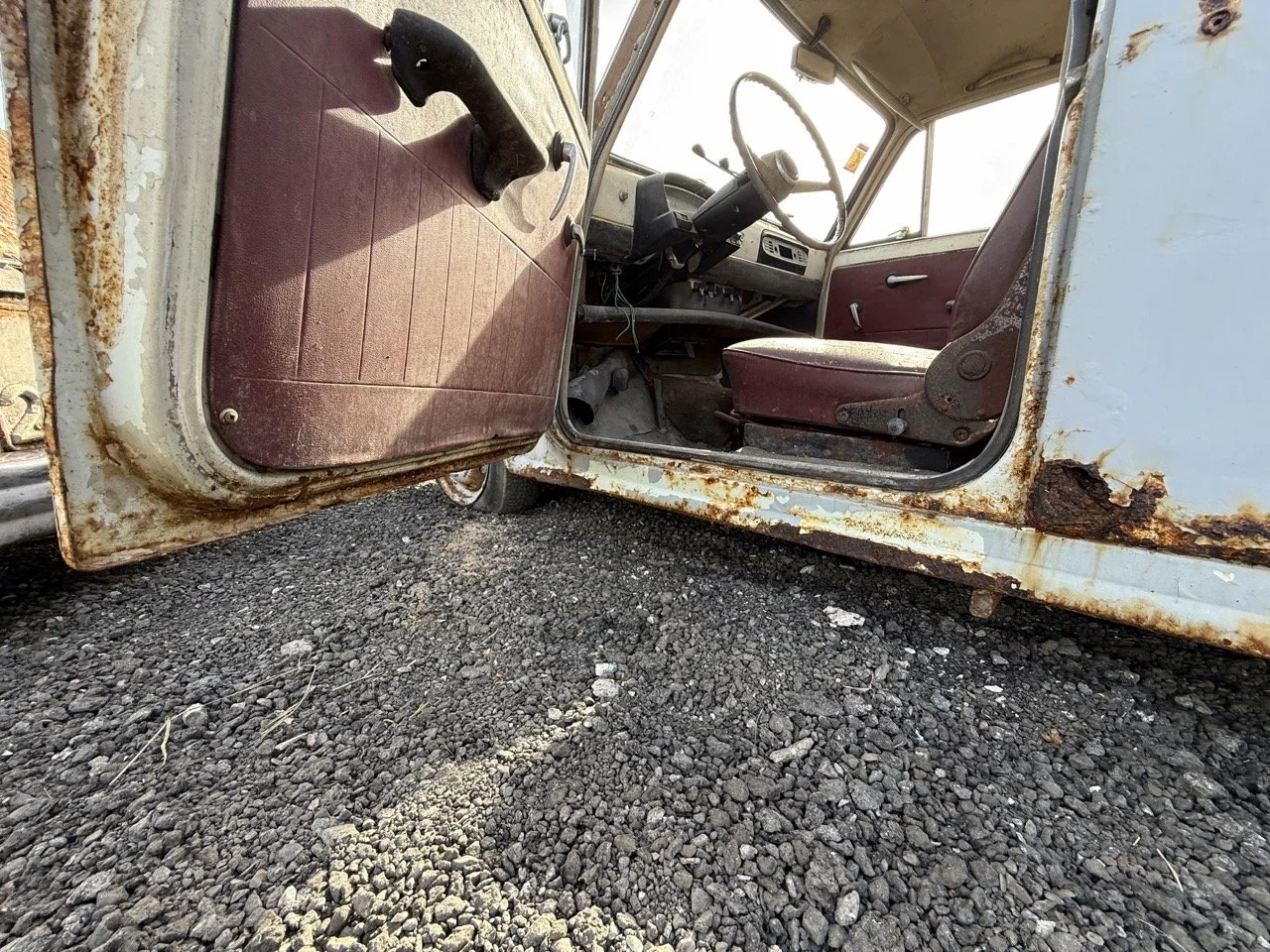 IMG_0498 – grande.jpeg