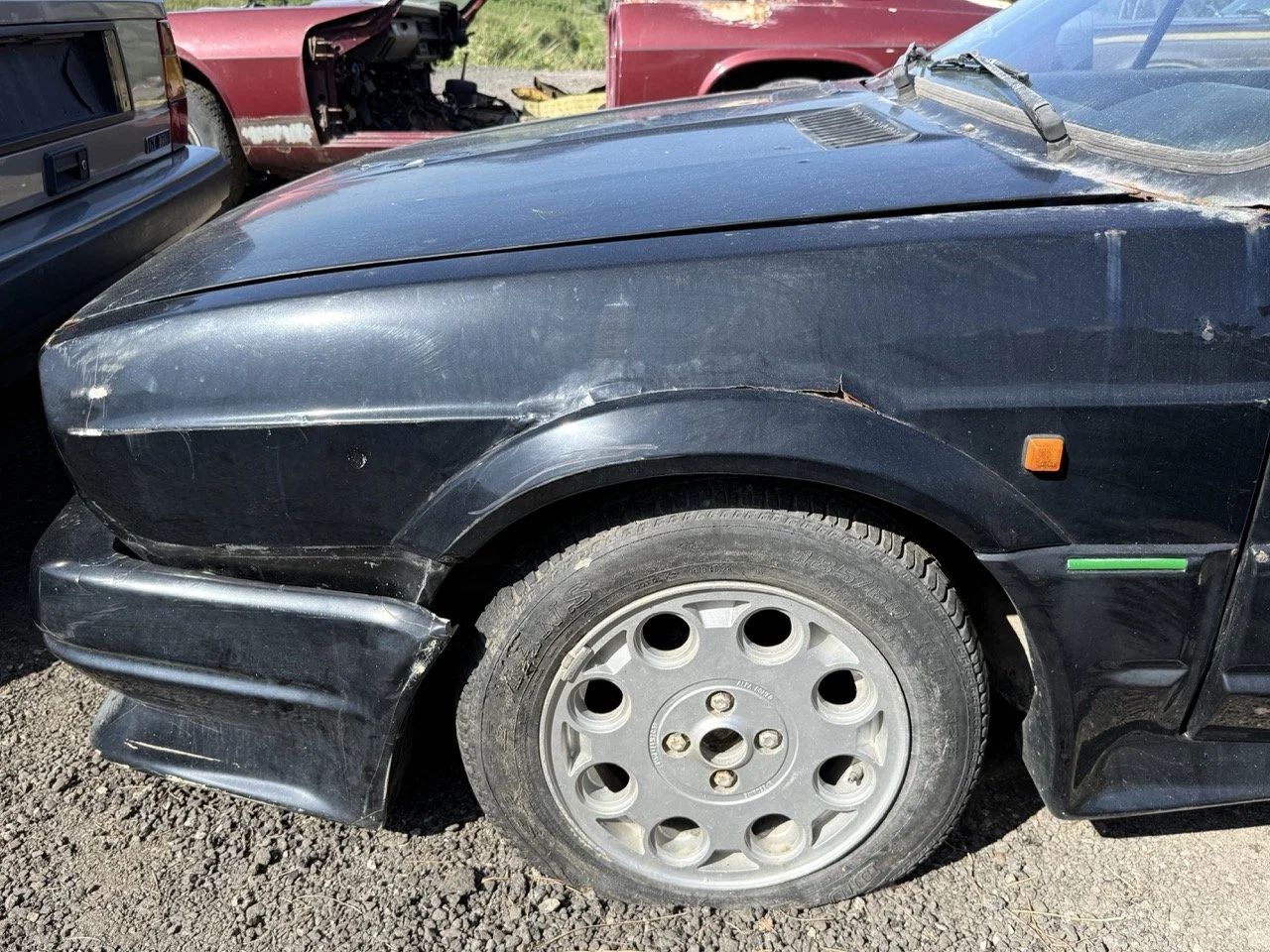 IMG_2914 – grande.jpeg