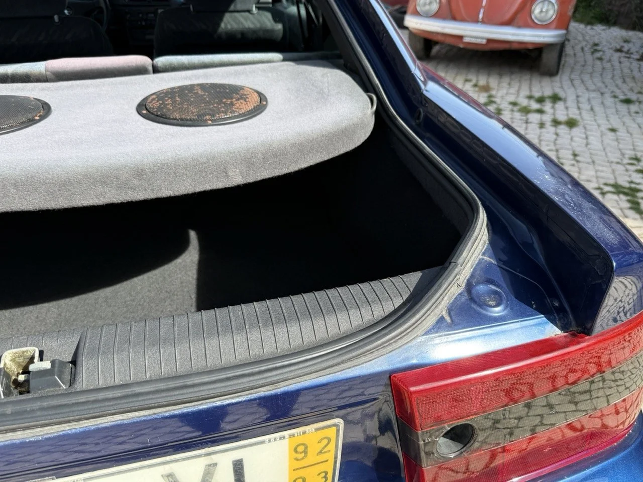 IMG_2471 – grande.jpeg