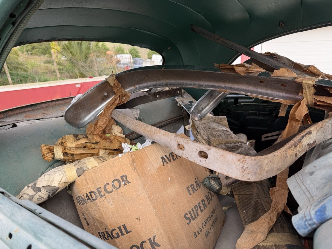 IMG_1791 – grande.jpeg