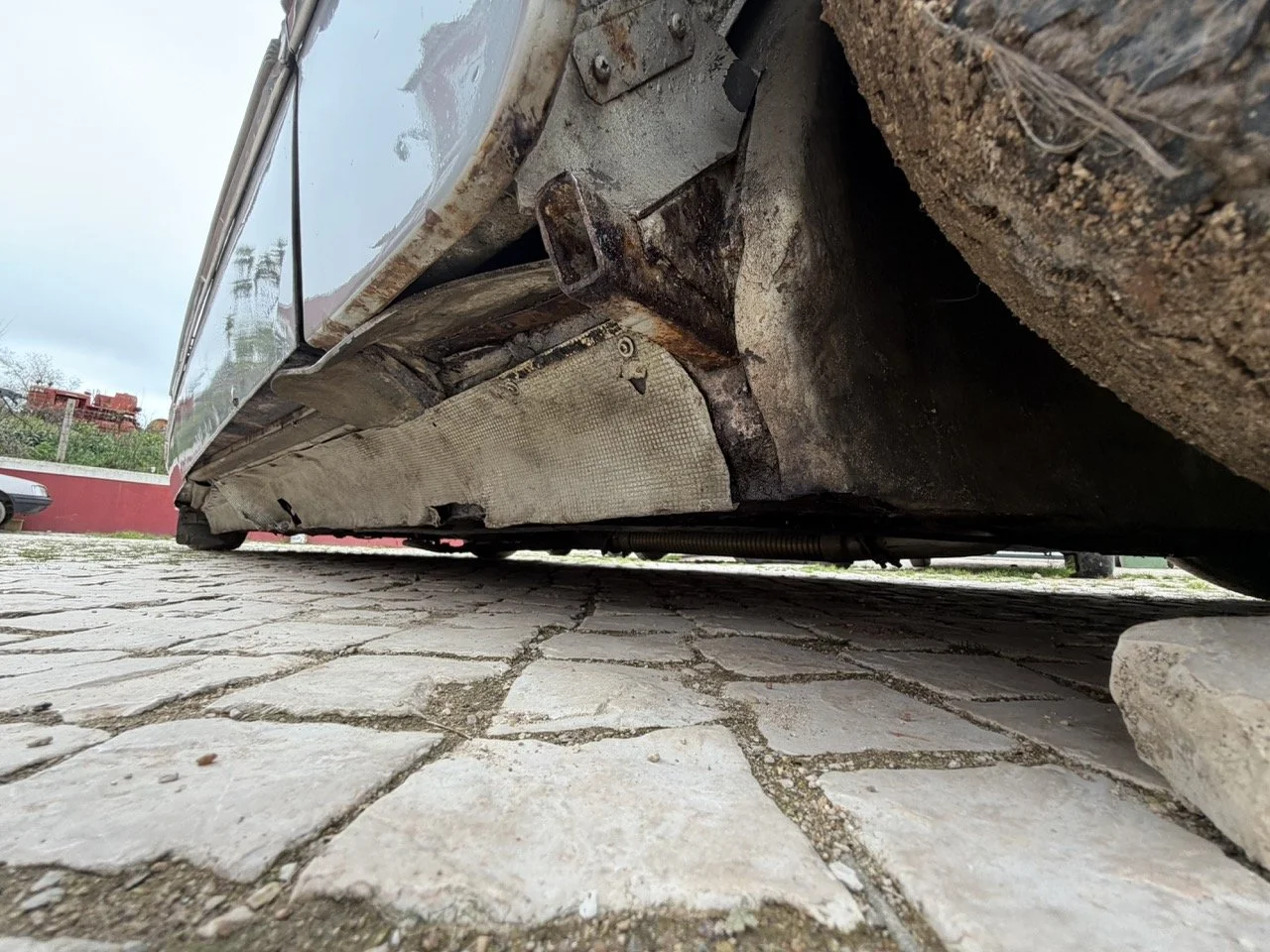 IMG_3789 – grande.jpeg