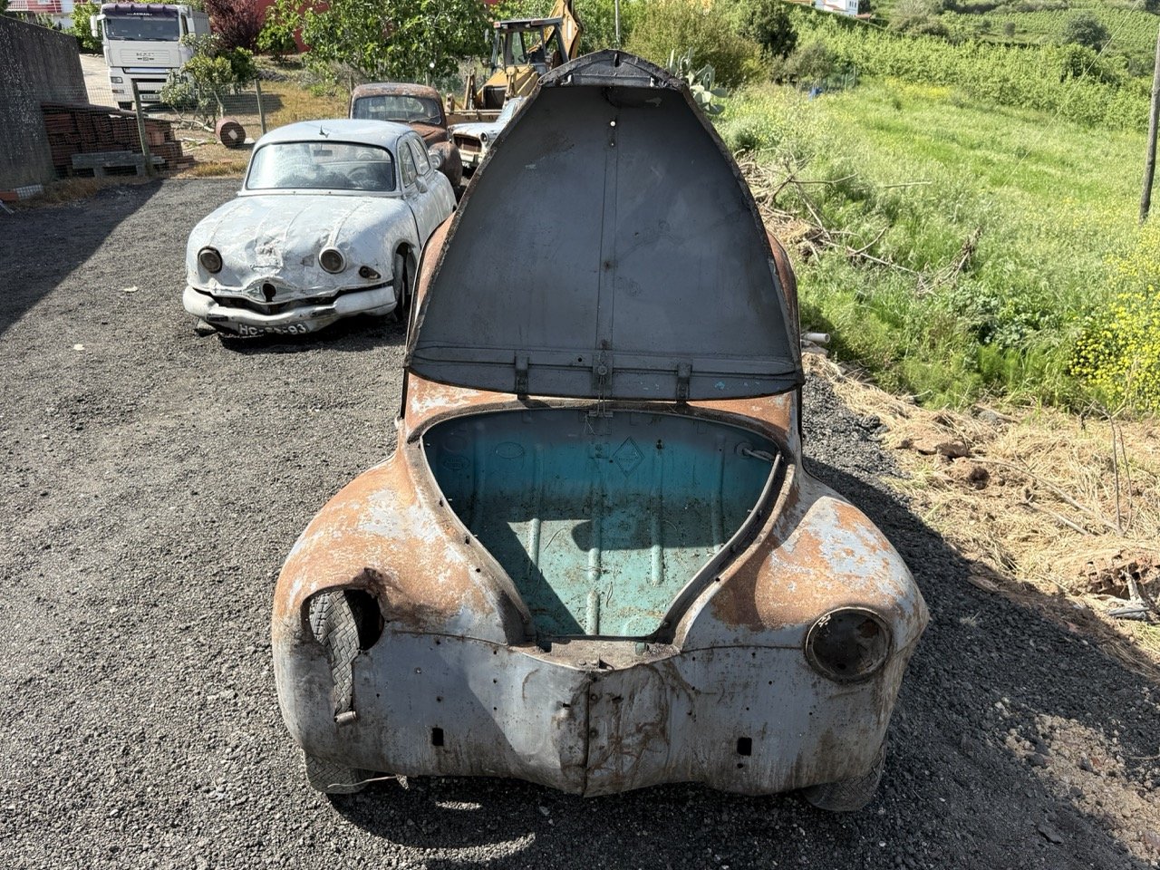 IMG_0296 – grande.jpeg