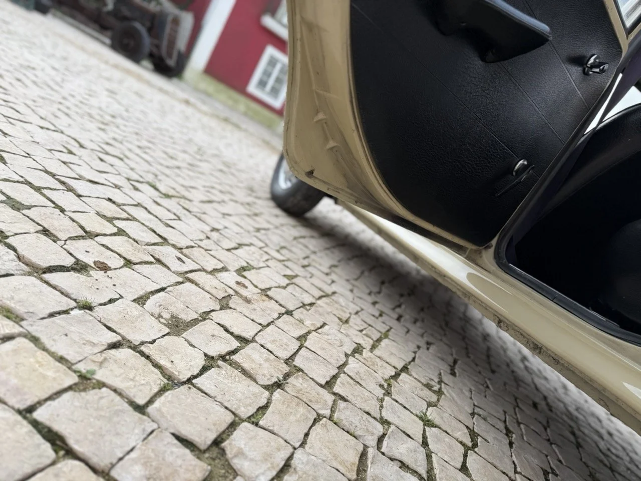 IMG_4036 – grande.jpeg