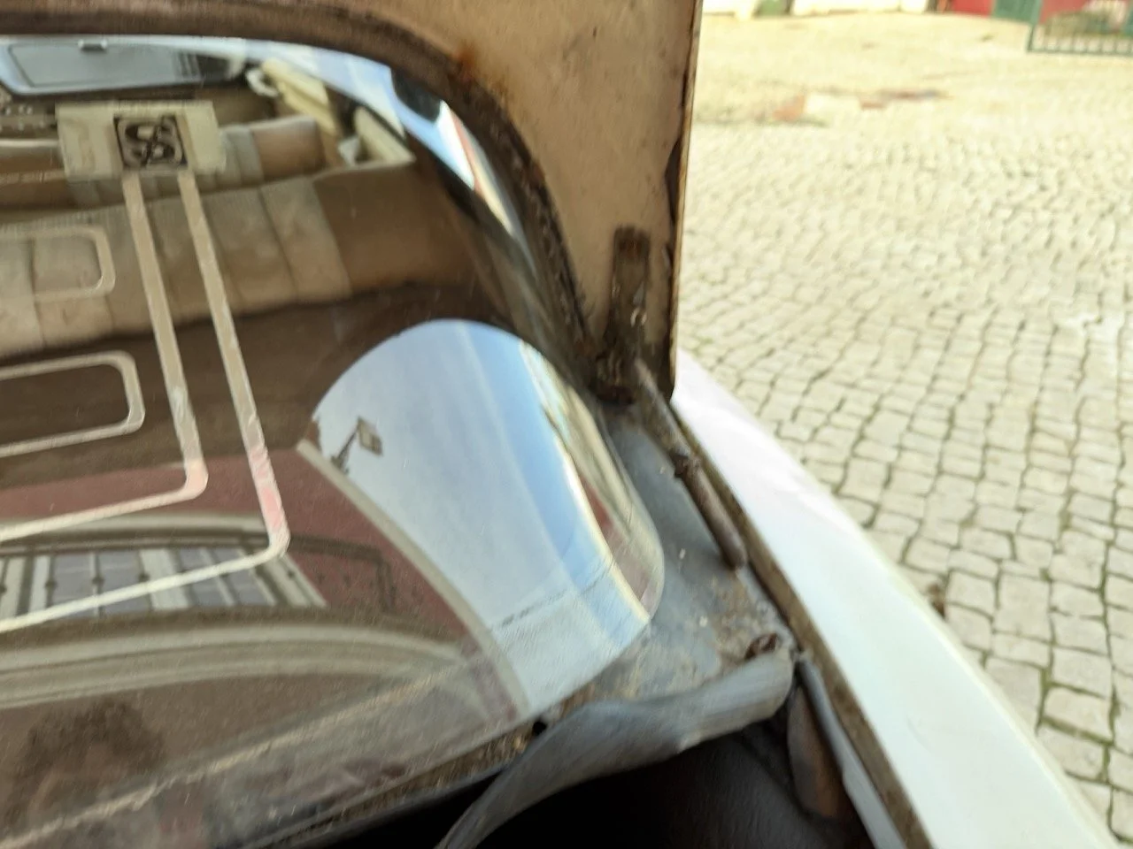 IMG_5952 2 – grande.jpeg