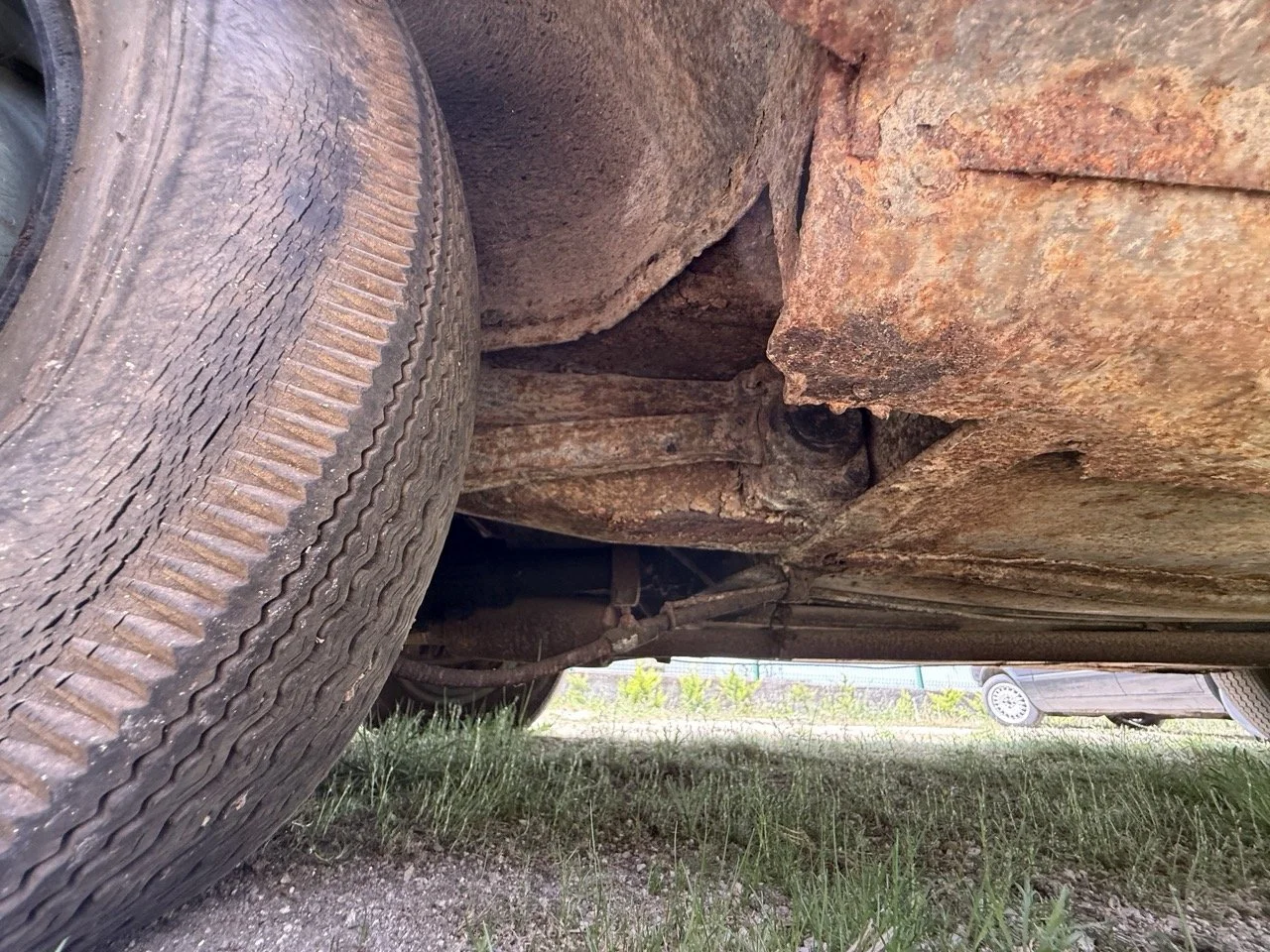 IMG_1416 – grande.jpeg