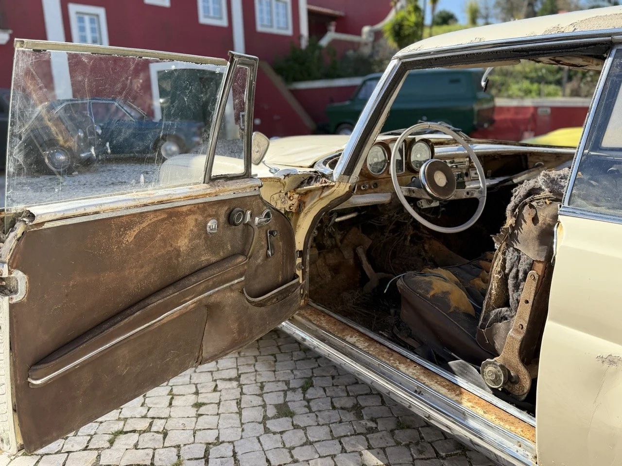 IMG_7010 – grande.jpeg