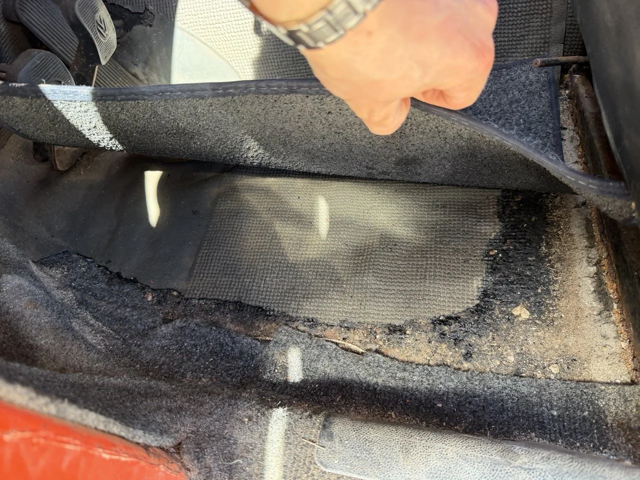 IMG_7544 – grande.jpeg