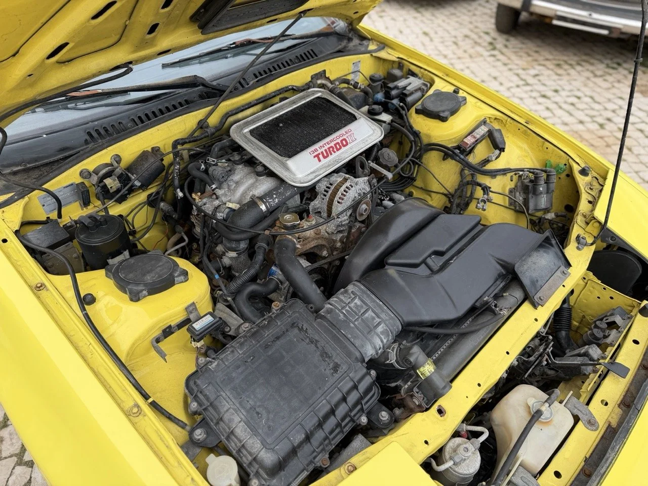 IMG_9746 – grande.jpeg