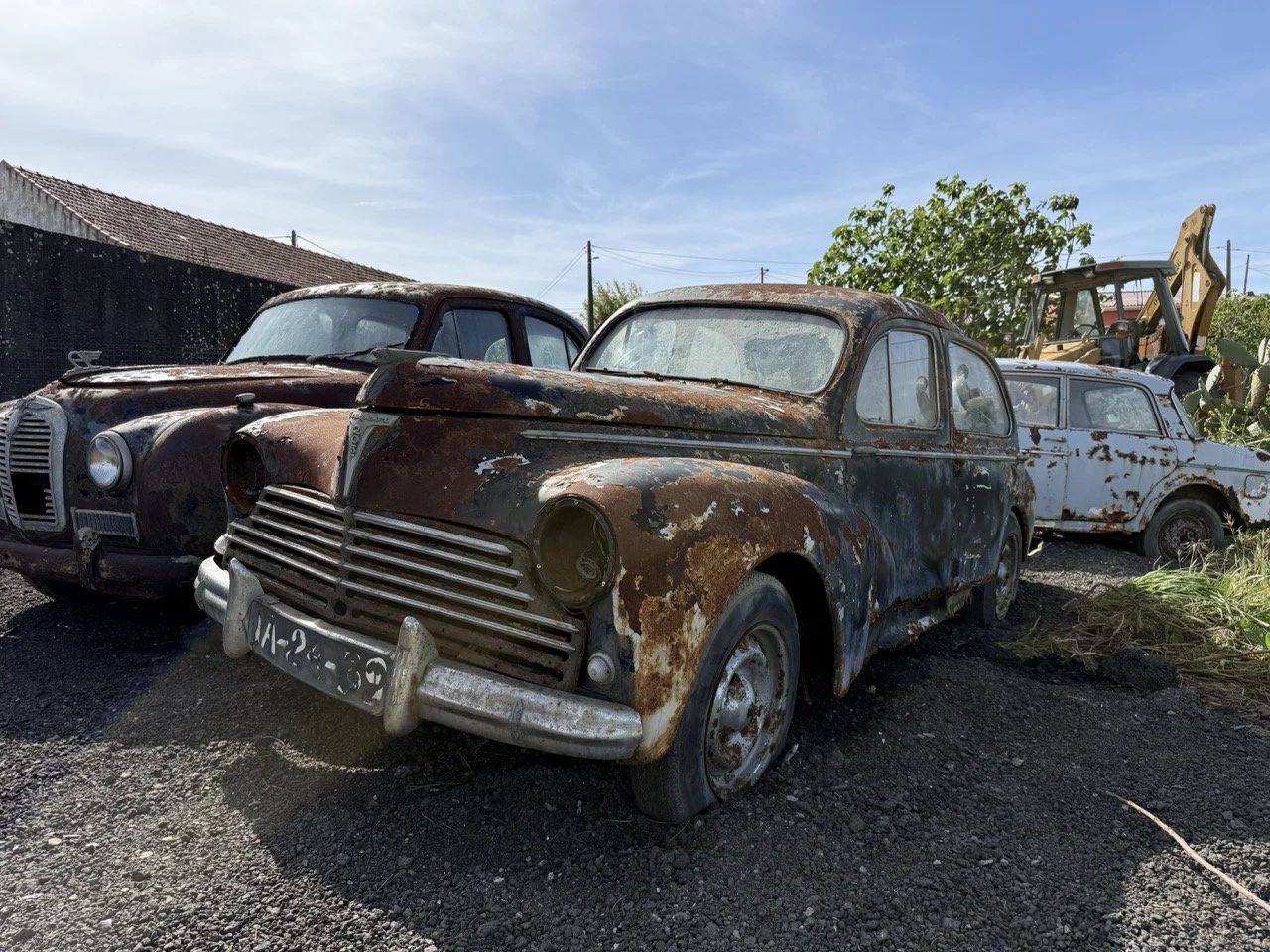 IMG_0389 – grande.jpeg